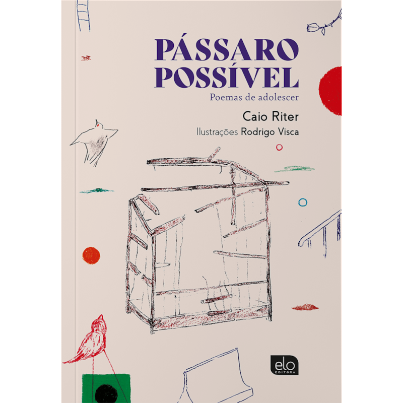 PÁSSARO POSSÍVEL: POEMAS DE ADOLESCER