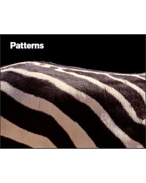 Patterns