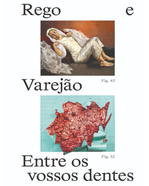 PAULA REGO E ADRIANA VAREJÃO: ENTRE OS VOSSOS DENTES
