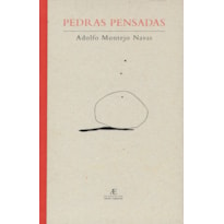 PEDRAS PENSADAS: INSCRIÇÕES (1980-2002)