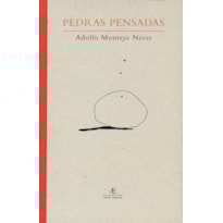 PEDRAS PENSADAS: INSCRIÇÕES (1980-2002) PEDRAS PENSADAS: INSCRIÇÕES (1980-2002)