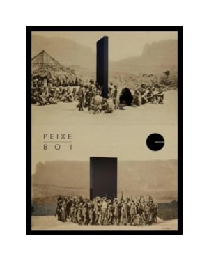 PEIXE-BOI - REVISTA DE PROSA E POESIA