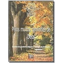 PELOS MUITOS CAMINHOS DE DEUS - DESAFIOS DO PLURALISMO RELIGIOSO... - 1