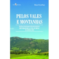 Pelos vales e montanhas: visitas pastorais de dois bispos reformadores ao Sul de Minas no século XIX
