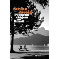 PEQUENA VIAGEM AO BRASIL