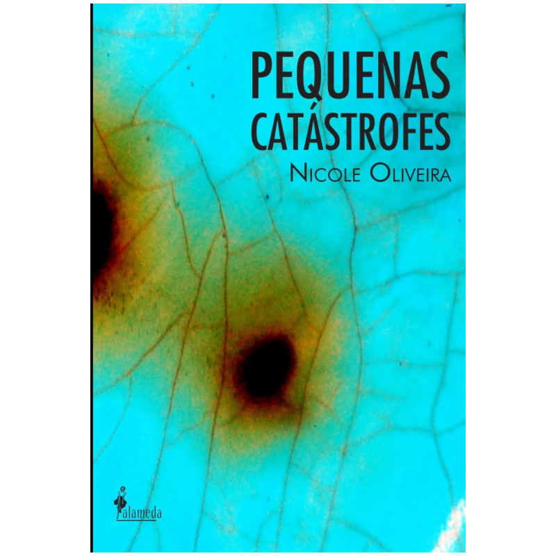 Pequenas catástrofes