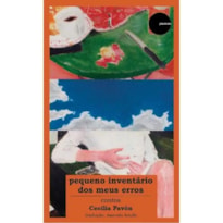 PEQUENO INVENTÁRIO DOS MEUS ERROS