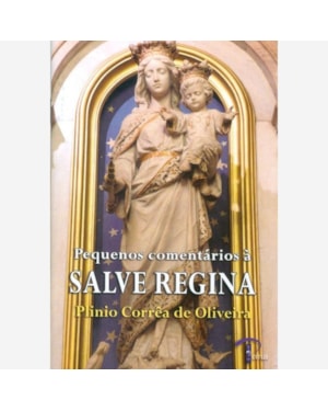 PEQUENOS COMENTÁRIOS A SALVE REGINA