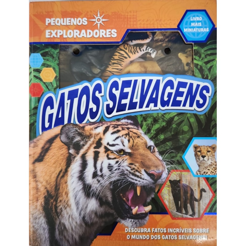 Pequenos exploradores - Gatos selvagens