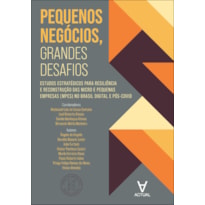 Pequenos negócios, grandes desafios: estudos estratégicos para resiliência e reconstrução das micro e pequenas empresas (mpes) no Brasil digital e pós-covid