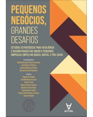 Pequenos negócios, grandes desafios: estudos estratégicos para resiliência e reconstrução das micro e pequenas empresas (mpes) no Brasil digital e pós-covid