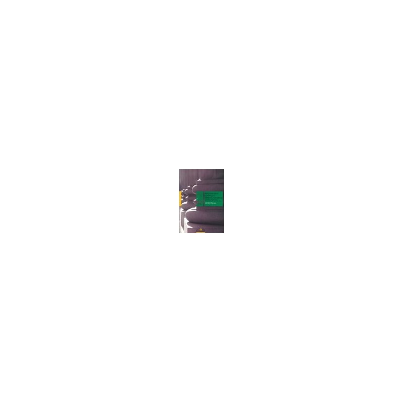 image_9165b65f-65b1-45e7-9ab4-16239ea3c065