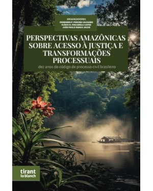 PERSPECTIVAS AMAZÔNICAS SOBRE ACESSO À JUSTIÇA E TRANSFORMAÇÕES PROCESSUAIS