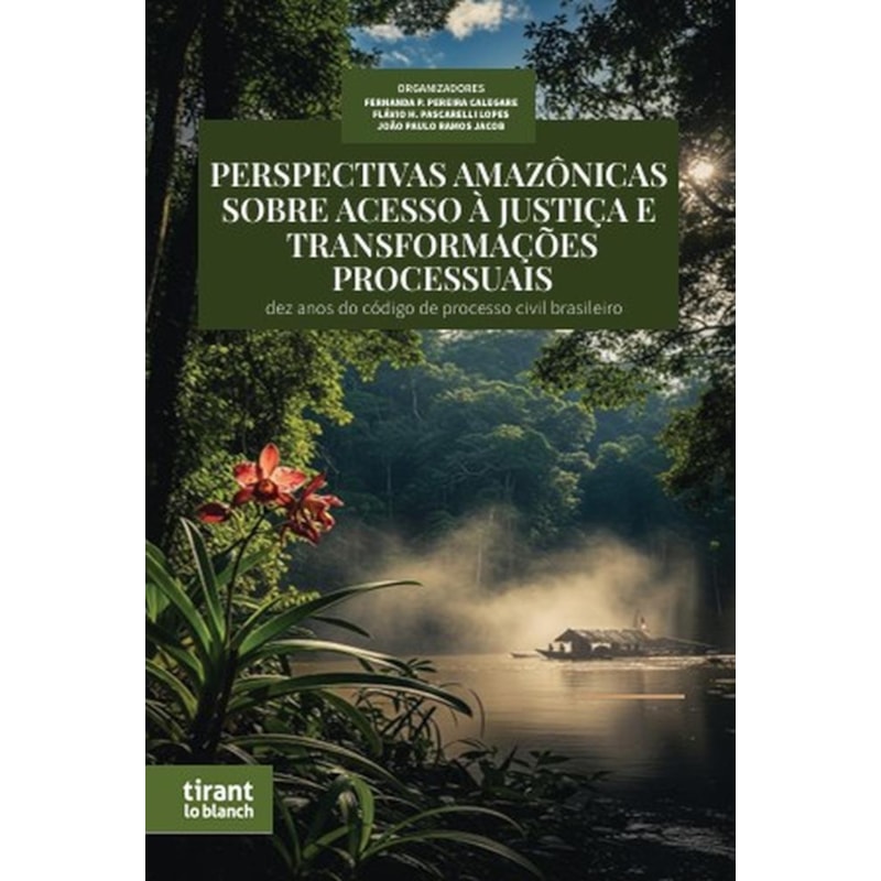 PERSPECTIVAS AMAZÔNICAS SOBRE ACESSO À JUSTIÇA E TRANSFORMAÇÕES PROCESSUAIS