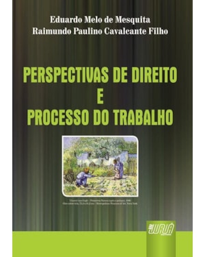PERSPECTIVAS DE DIREITO E PROCESSO DO TRABALHO