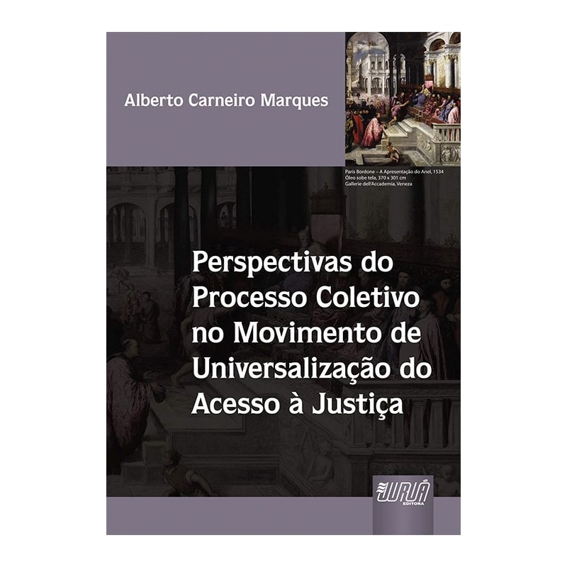 PERSPECTIVAS DO PROCESSO COLETIVO NO MOVIMENTO DE UNIVERSALIZAÇÃO DO ACESSO À JUSTIÇA