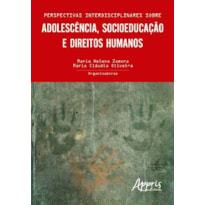 PERSPECTIVAS INTERDISCIPLINARES SOBRE ADOLESCÊNCIA, SOCIOEDUCAÇÃO E DIREITOS HUMANOS