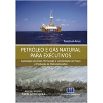 Petróleo e gás natural para executivos: exploração de áreas, perfuração e completação de poços e produção de hidrocarbonetos