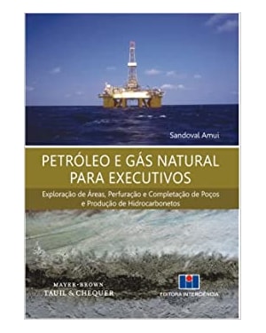 Petróleo e gás natural para executivos: exploração de áreas, perfuração e completação de poços e produção de hidrocarbonetos