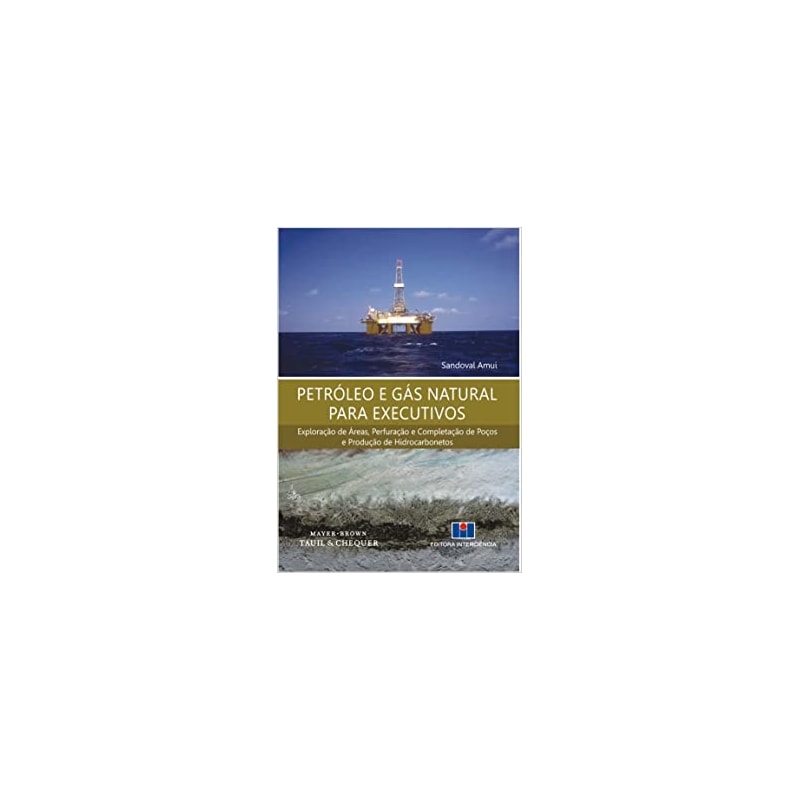 Petróleo e gás natural para executivos: exploração de áreas, perfuração e completação de poços e produção de hidrocarbonetos