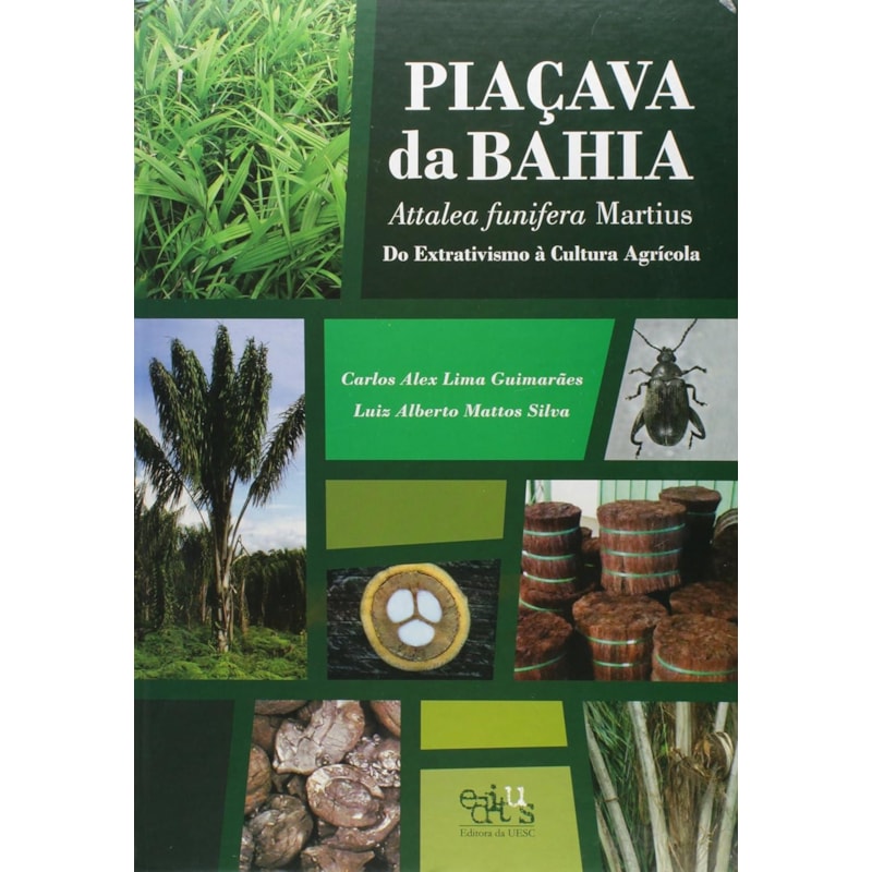 PIACAVA DA BAHIA (ATTALEA FUNIFERA MARTIUS) DO EXTRATIVISMO A CULTURA AGRIC - 1