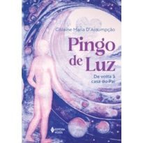 PINGO DE LUZ: DE VOLTA À CASA DO PAI