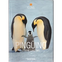 Pinguino