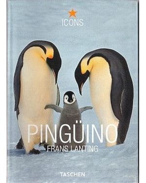 Pinguino