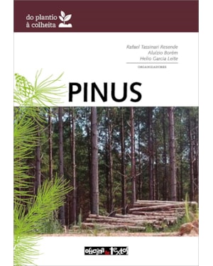 PINUS: DO PLANTIO Á COLHEITA