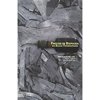 PIROLISE DE BIOMASSA EM BAIXAS TEMPERATURAS - 1 PIROLISE DE BIOMASSA EM BAIXAS TEMPERATURAS - 1