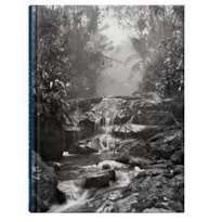 Pk salgado amazonia - non