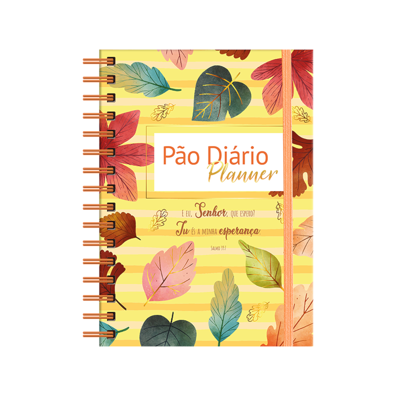 Planner permanente - Esperança: Ferarmenta complete para auxiliar as mulheres na gestão do tempo e organização de várias áreas da vida.