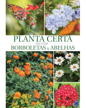PLANTA CERTA PARA ATRAIR BORBOLETAS E ABELHAS