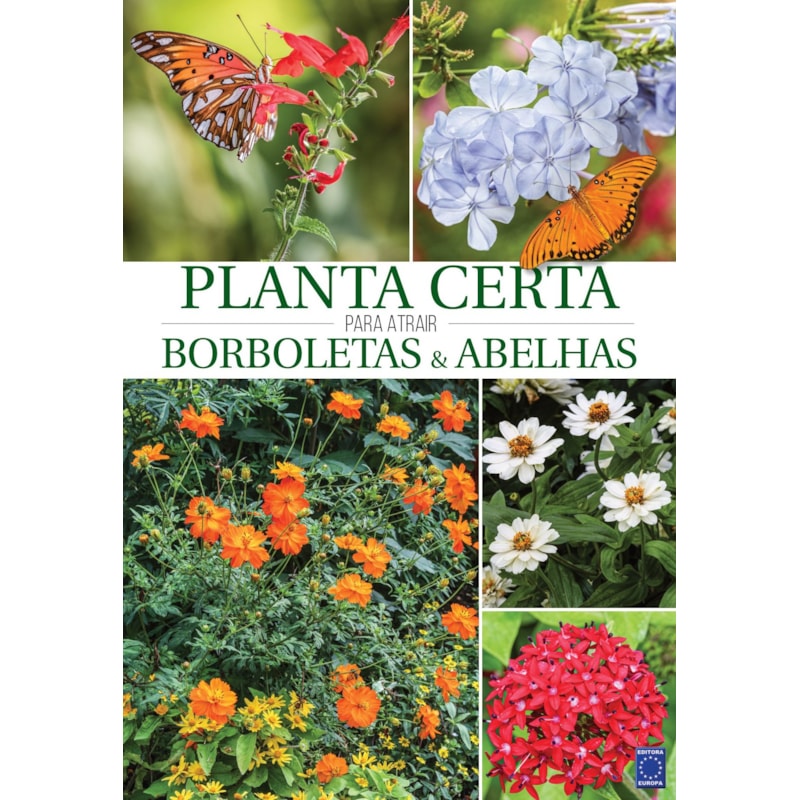PLANTA CERTA PARA ATRAIR BORBOLETAS E ABELHAS