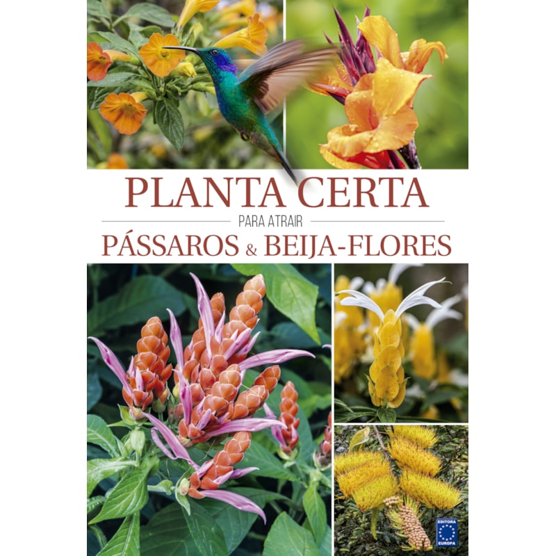 PLANTA CERTA PARA ATRAIR PÁSSAROS & BEIJA-FLORES