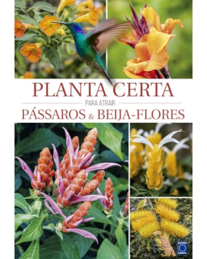 PLANTA CERTA PARA ATRAIR PÁSSAROS & BEIJA-FLORES
