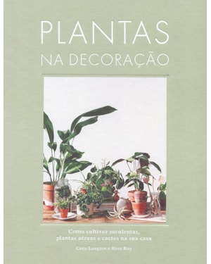 PLANTAS NA DECORAÇÃO