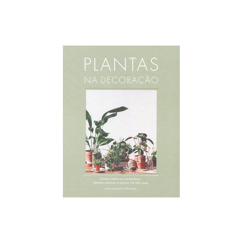 PLANTAS NA DECORAÇÃO