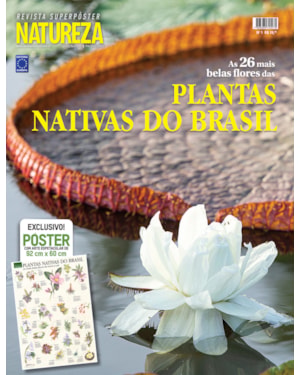 PLANTAS NATIVAS DO BRASIL - SUPERPÔSTER