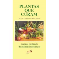 Plantas que curam: manual ilustrado de plantas medicinais