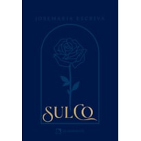 POCKET SULCO - PREMIUM