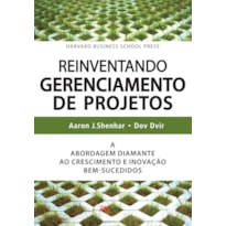 POD-Reinventando gerenciamento de projetos: a abordagem diamante ao crescimento e inovação bem-sucedidos