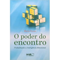 PODER DO ENCONTRO, O - TRABALHANDO A INTELIGENCIA EMOCIONAL - 1