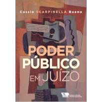 PODER PÚBLICO EM JUÍZO