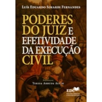 PODERES DO JUIZ E EFETIVIDADE DA EXECUÇÃO CIVIL