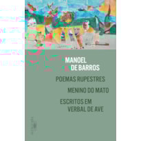 POEMAS RUPESTRES, MENINO DO MATO E ESCRITOS EM VERBAL DE AVE