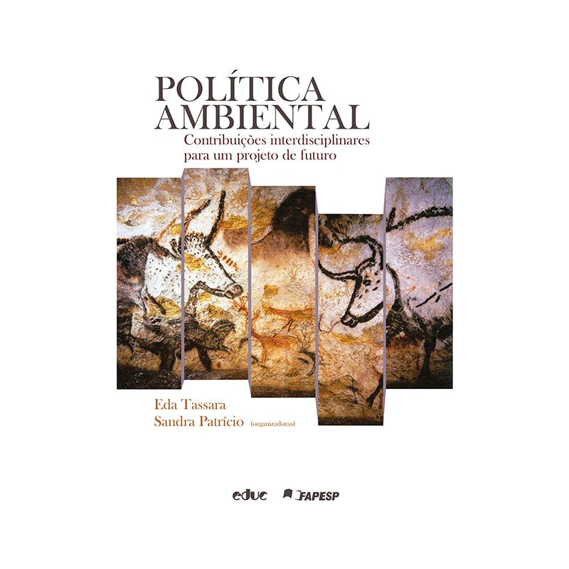 POLÍTICA AMBIENTAL