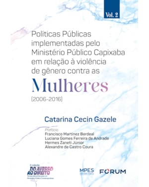 Políticas públicas implementadas pelo ministério público capixaba em relação à violência de gênero contra as mulheres (2006 - 2016)
