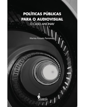 Políticas públicas para o audiovisual: o caso Ancinav