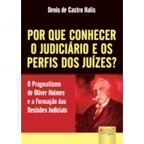 POR QUE CONHECER O JUDICIÁRIO E OS PERFIS DOS JUÍZES? - O PRAGMATISMO DE OLIVER HOLMES E A FORMAÇÃO DAS DECISÕES JUDICIAIS